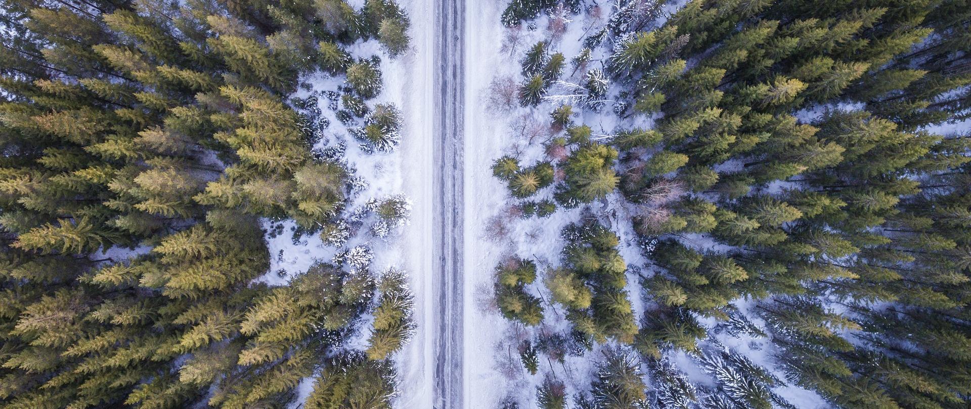 Droga biegnąca w lesie - widok z lotu ptaka
