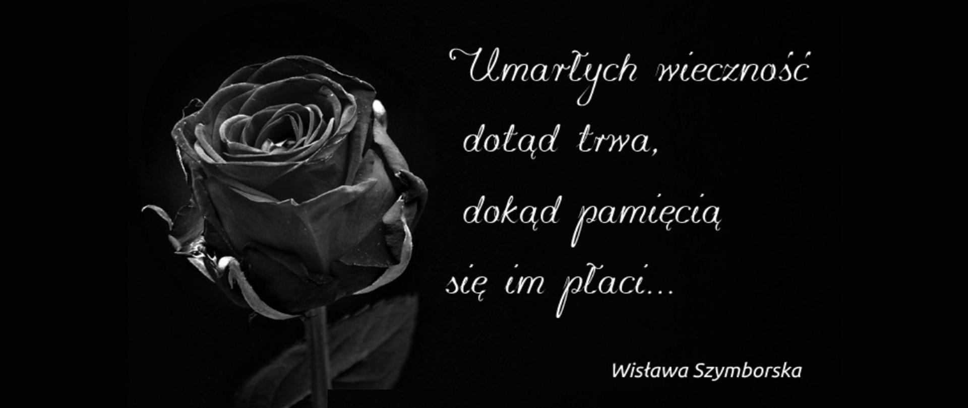 Czarna róża na czarnym tle z sentencją Wisławy Szymborkiej zapisaną białą ozdobną czcionką "Umarłych wieczność dotąd trwa, dokąd pamięcią się im płaci".