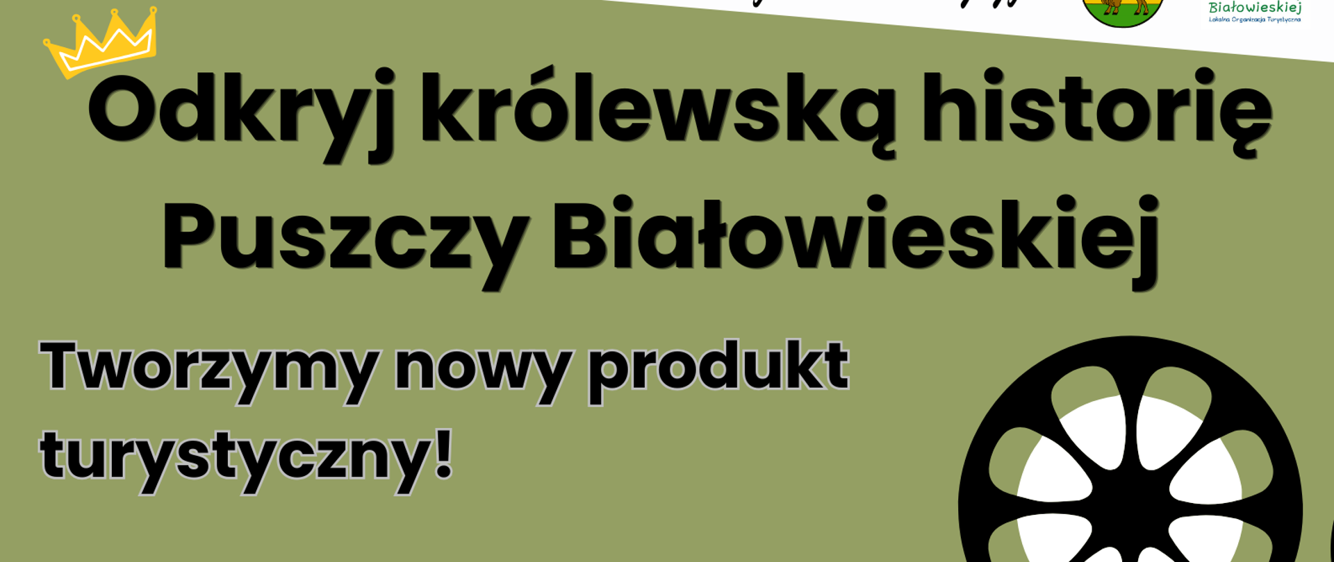 Odkryj królewską historię Puszczy Białowieskiej. Na plakacie umieszczono informację o projekcie, zwarte w artykule. 