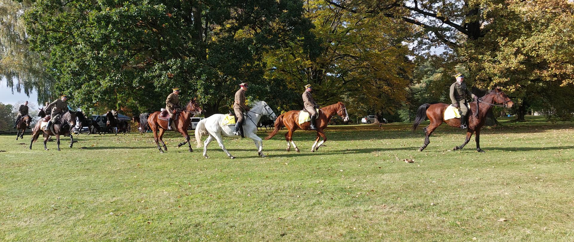 Gonitwa za lisem - jeźdźcy galopujący na koniach w mundurach kawalerii na łące terenie świerklanieckiego parku