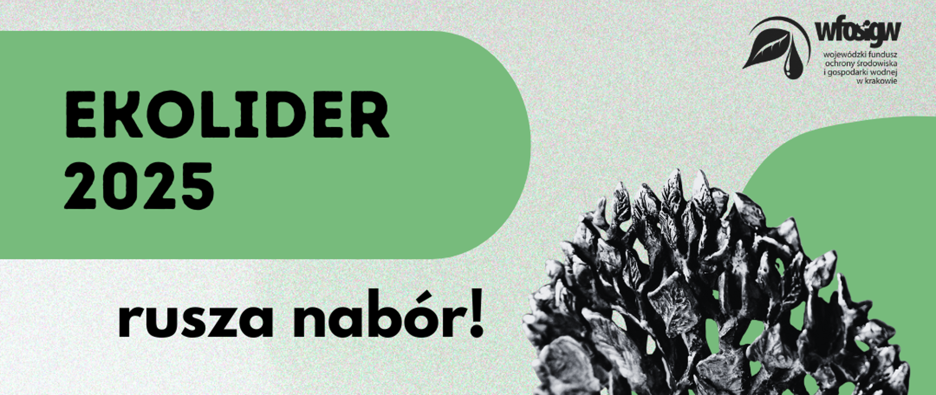 Plakat konkursu EKOLIDER