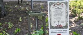 Park Niepodległości w Piastowie - Dąb Niepodległości 