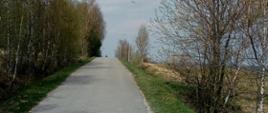 Naprawa poboczy na drodze gminnej Lubenia - Cyb