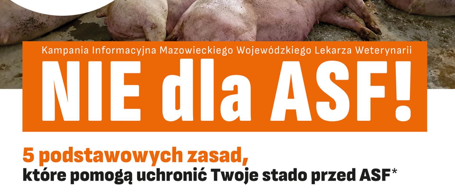 Plakat_informacyjny_w_ramach_kampanii_informacyjnej_„Nie_dla_ASF!