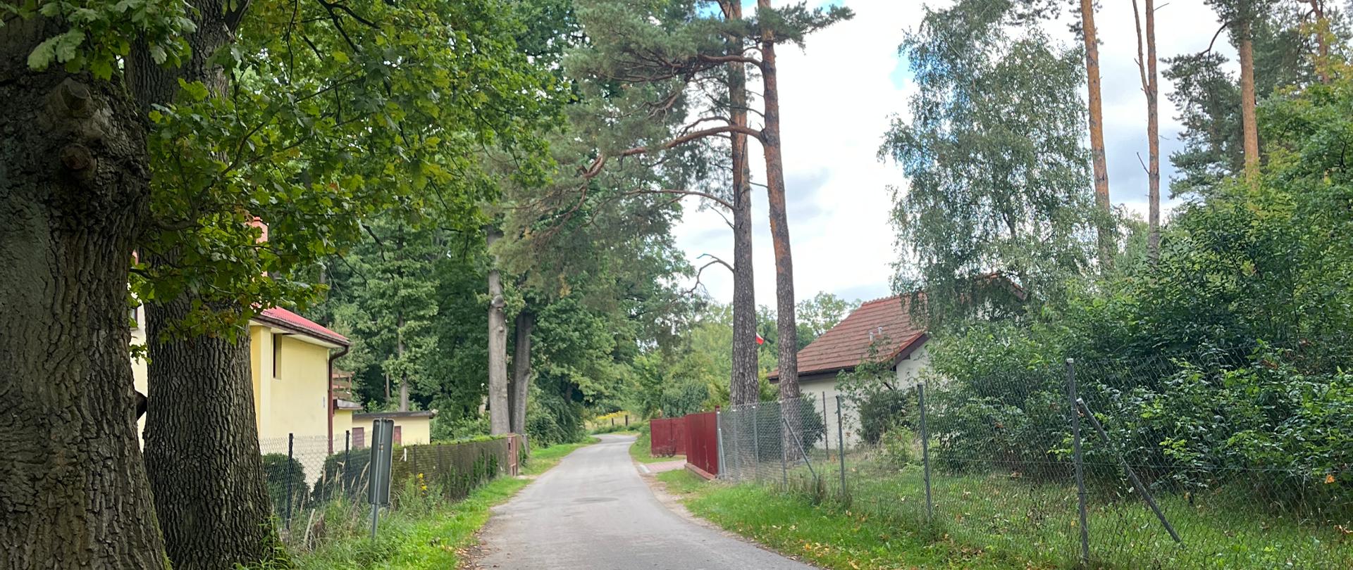 Wąska droga asfaltowa biegnąca skrajem lasu i zabudowań. Po lewej stronie na pierwszym planie rosną grube pnie drzew liściastych, za którymi stoi jednopiętrowy budynek. Po prawej stronie wzdłuż drogi ciągnie się siatka ogrodzeniowa z gęstą roślinnością i wysokimi sosnami, a na drodze leżą pojedyncze opadłe liście.