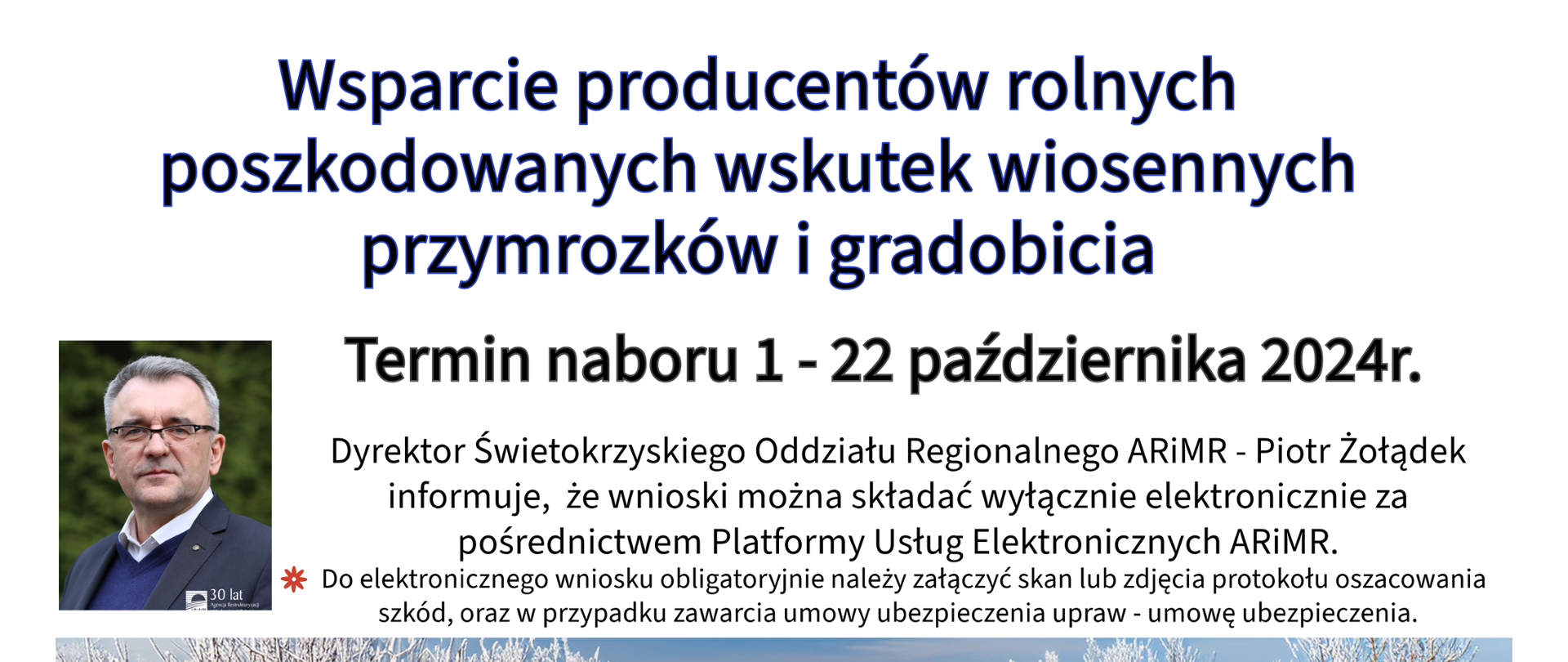plakat_mrozy