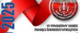 VI Powiatowy Marsz Pamięci Żołnierzy Wyklętych „Tropem Wilczym”