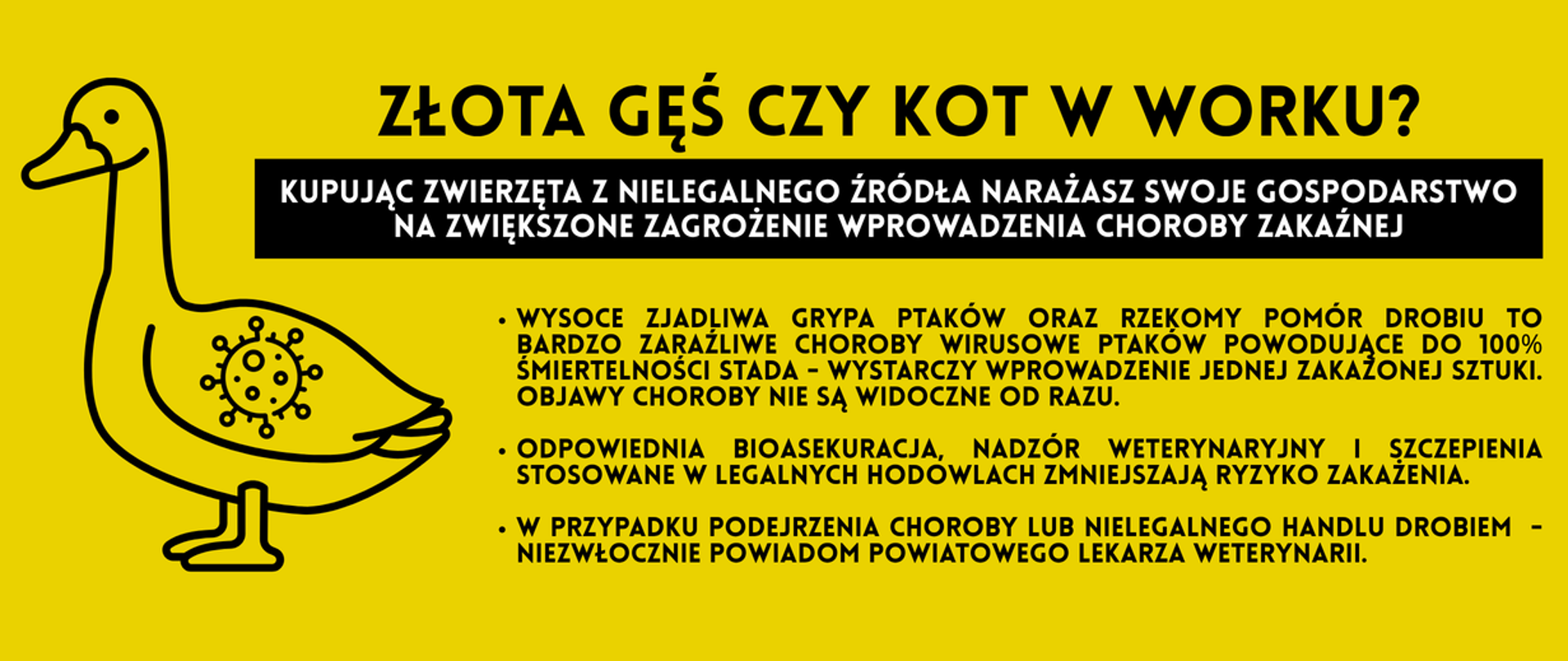 Grafika informująca o zagrożeniach związanych z kupowaniem zwierząt z nielegalnych źródeł