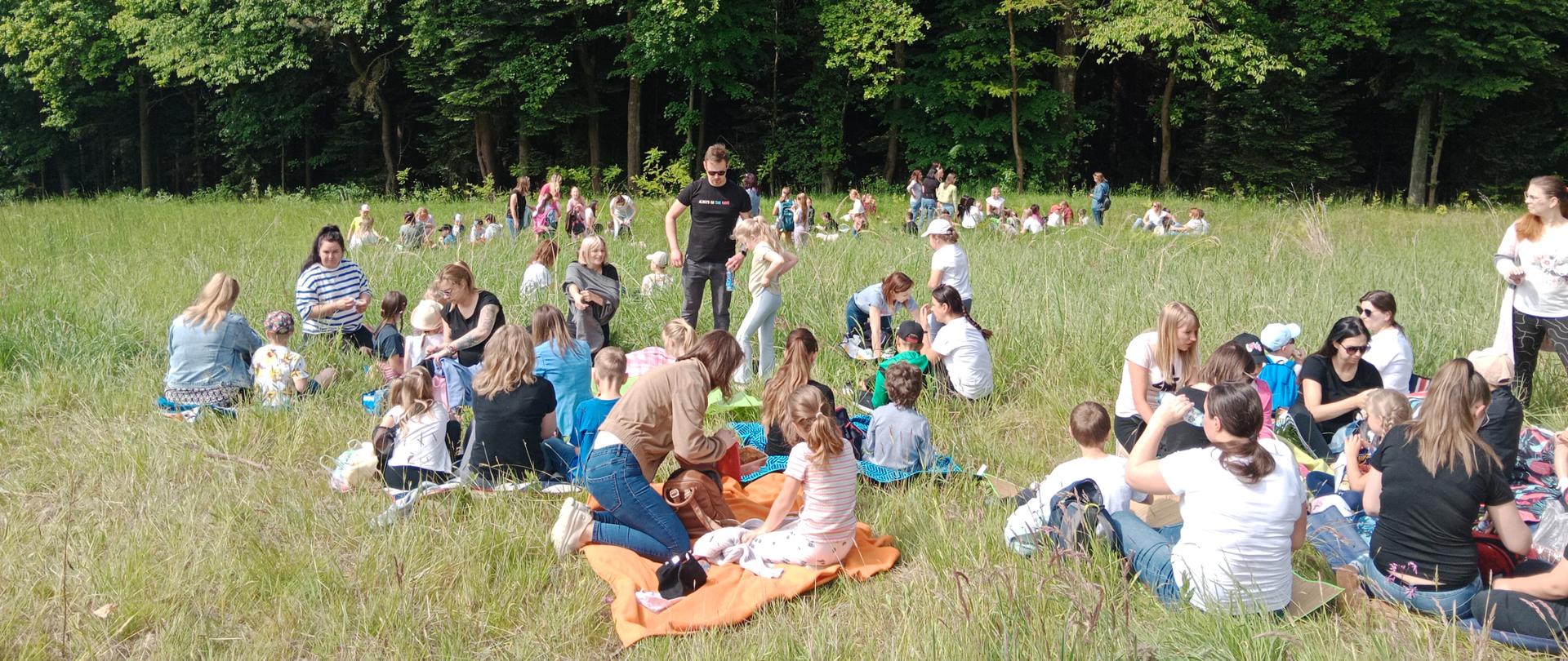 Piknik na polanie