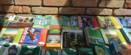 Materiały promocyjne - ulotki i foldery