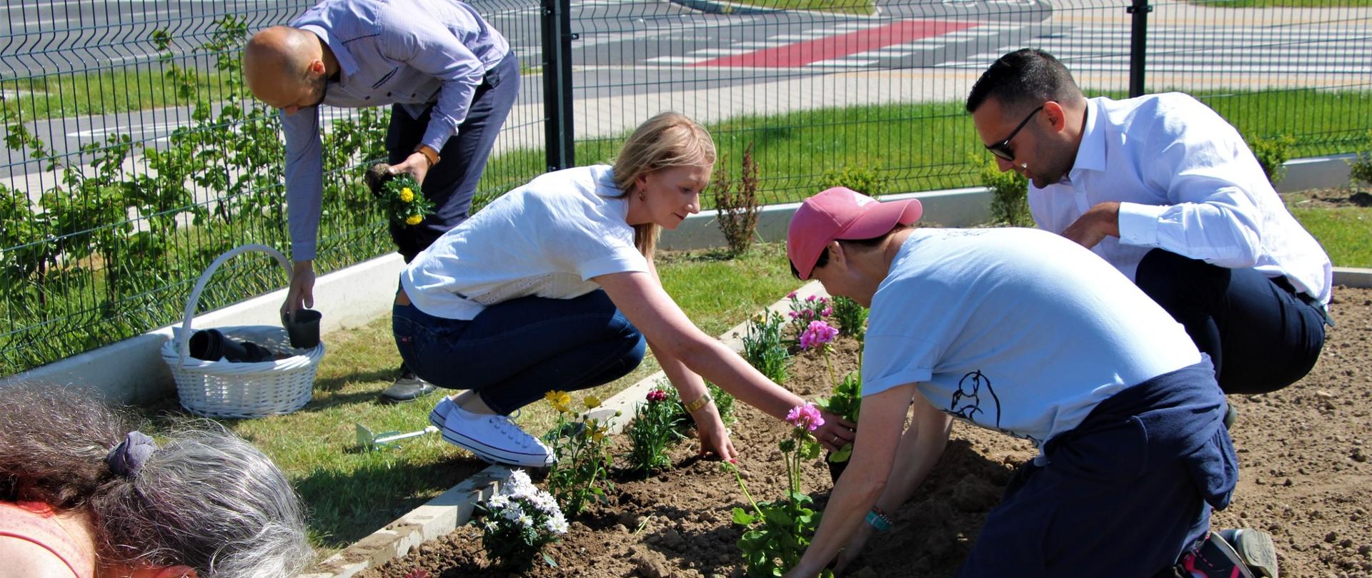Wicestarosta Polkowicki, Dyrektor Powiatowego Centrum Pomocy Rodzinie, Kierownik Warsztatu Terapii Zajęciowej oraz dwie kobiety sadzą kwiaty w ogrodzie 