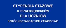 Grafika z napisem: Stypendium stażowe u przedsiębiorców dla uczniów szkół kształcących zawodowo