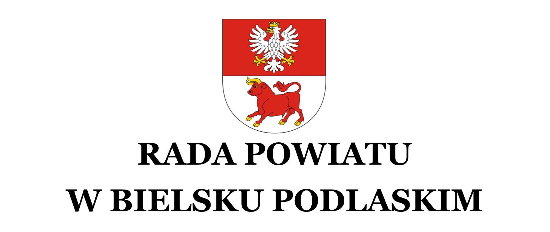 Grafika - Herb Powiatu Bielskiego 