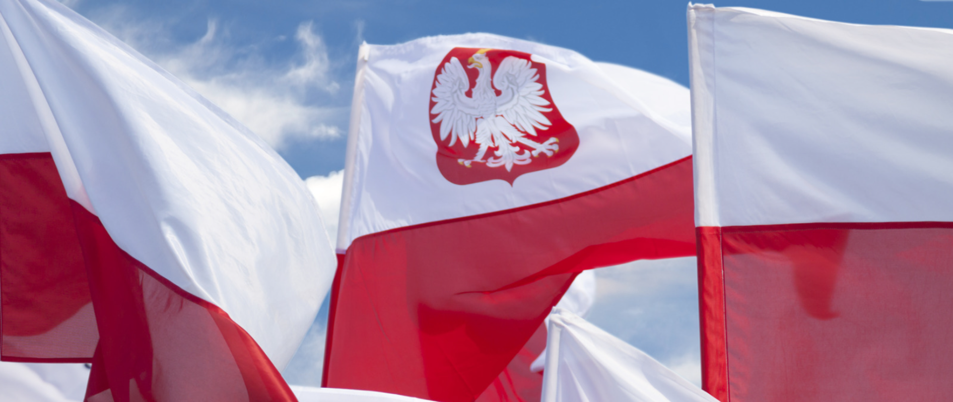 Zdjęcie łopoczących na tle nieba polskich flag 