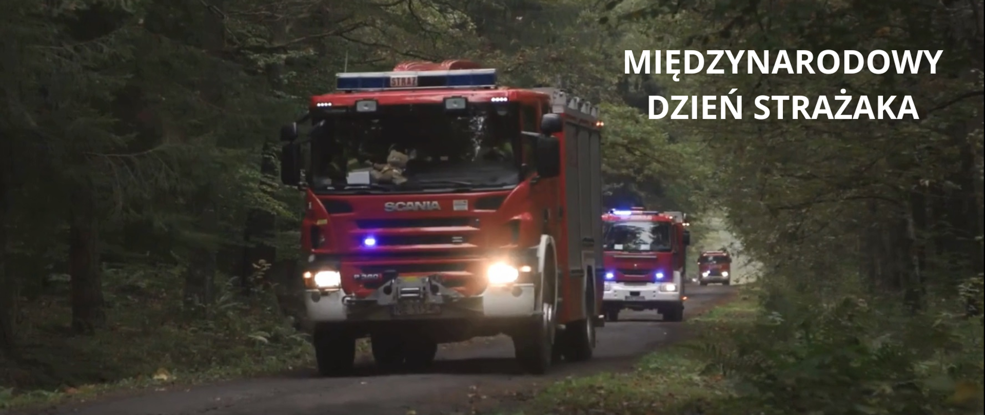 Biały napis - Międzynarodowy Dzień Strażaka na zdjęciu przedstawiającym wozy strażackie, które wyruszyły na akcję w lesie.