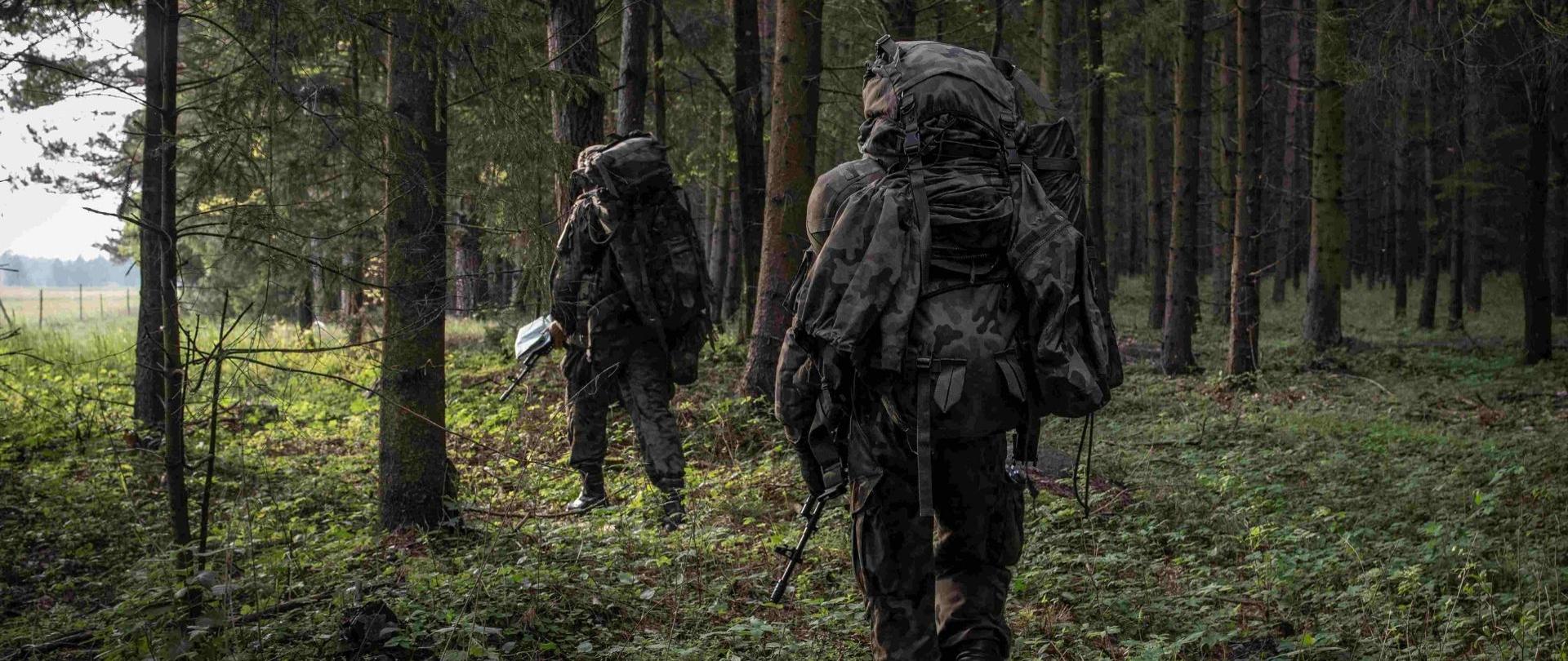 Przemarsz wojska