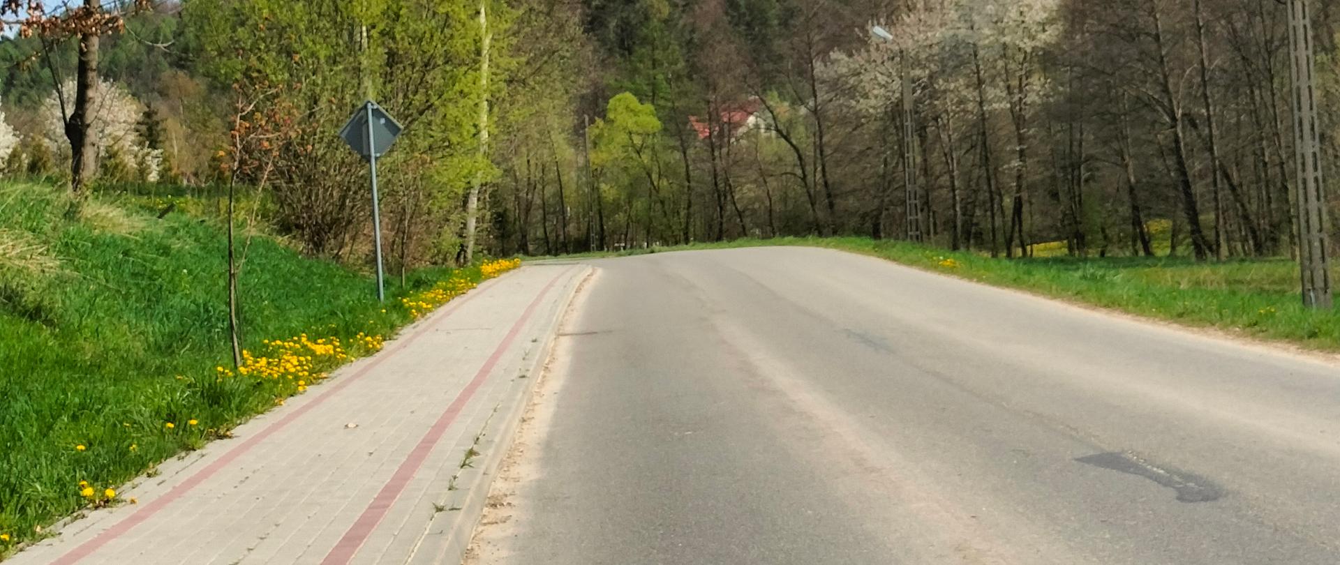 Chodnik w Straszydlu w kierunku Hermanowej