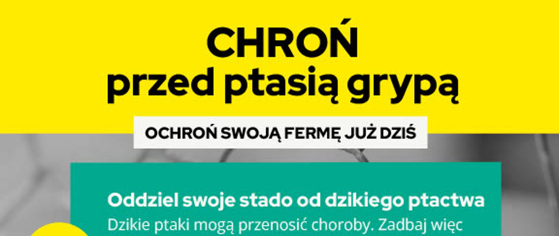 Ptasia grypa