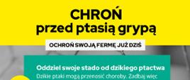 ptasia grypa