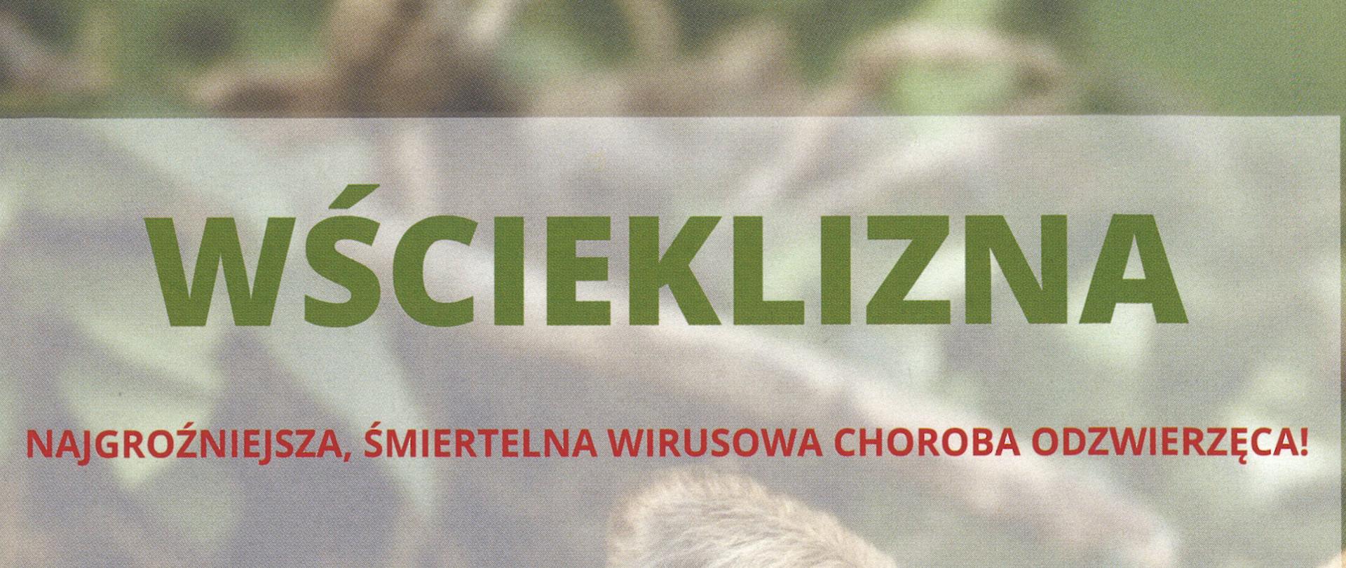 Wścieklizna - najgroźniejsza, śmiertelna wirusowa choroba odzwierzęca