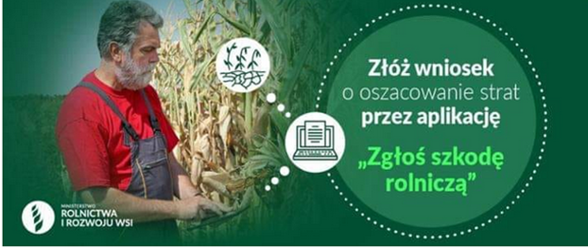 Plakat promujący aplikację 'Zgłoś szkodę rolniczą' przedstawiający rolnika na tle pola kukurydzy. Obok znajduje się tekst zachęcający do złożenia wniosku o oszacowanie strat przez aplikację. W lewym dolnym rogu logo Ministerstwa Rolnictwa i Rozwoju Wsi.