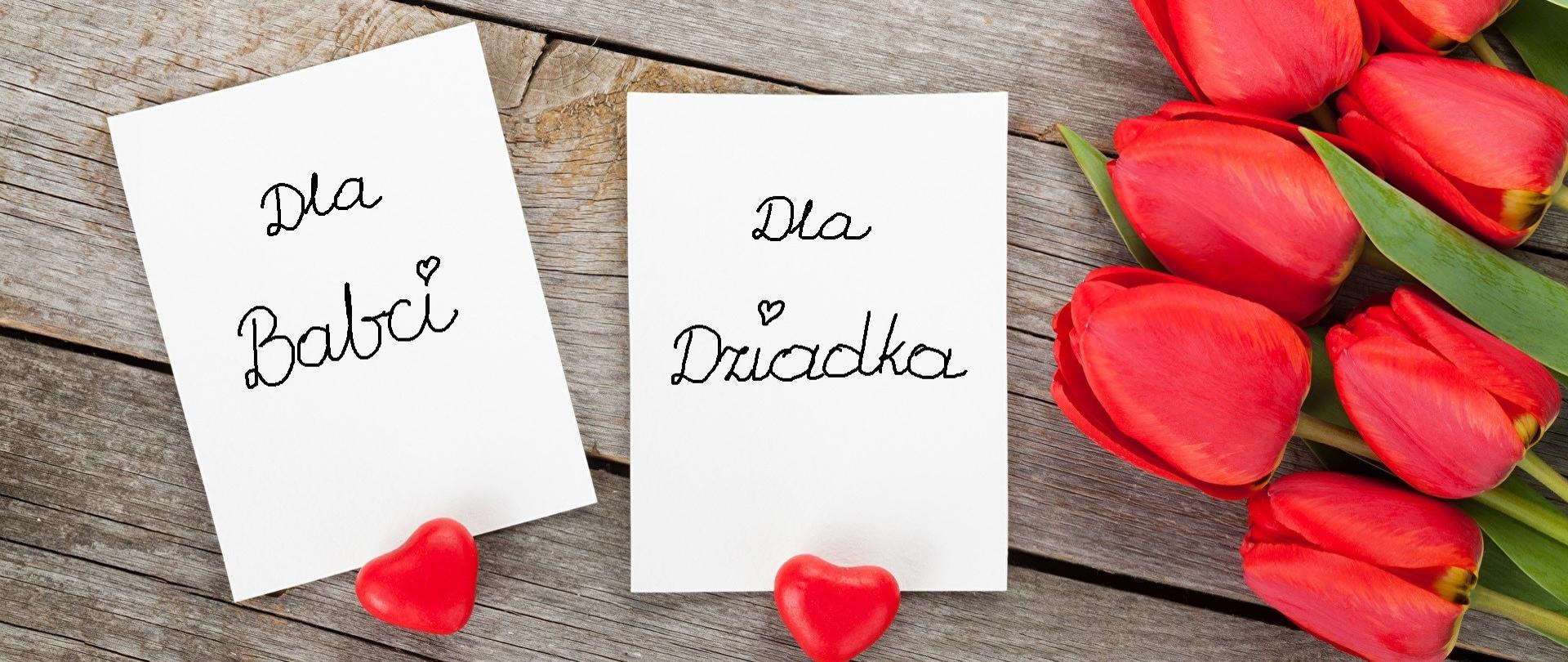 Zdjęcie przedstawia dwie białe kartki z napisem dla Babci i dziadka, czerwone tulipany i dwa czerwone serduszka. W tle stare deski.