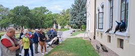 Uczestnicy wycieczki obserwują pawie