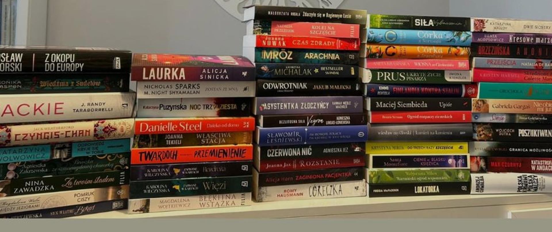 Zdjęcie przedstawia zakupione nowości w Bibliotece dla Dorosłych