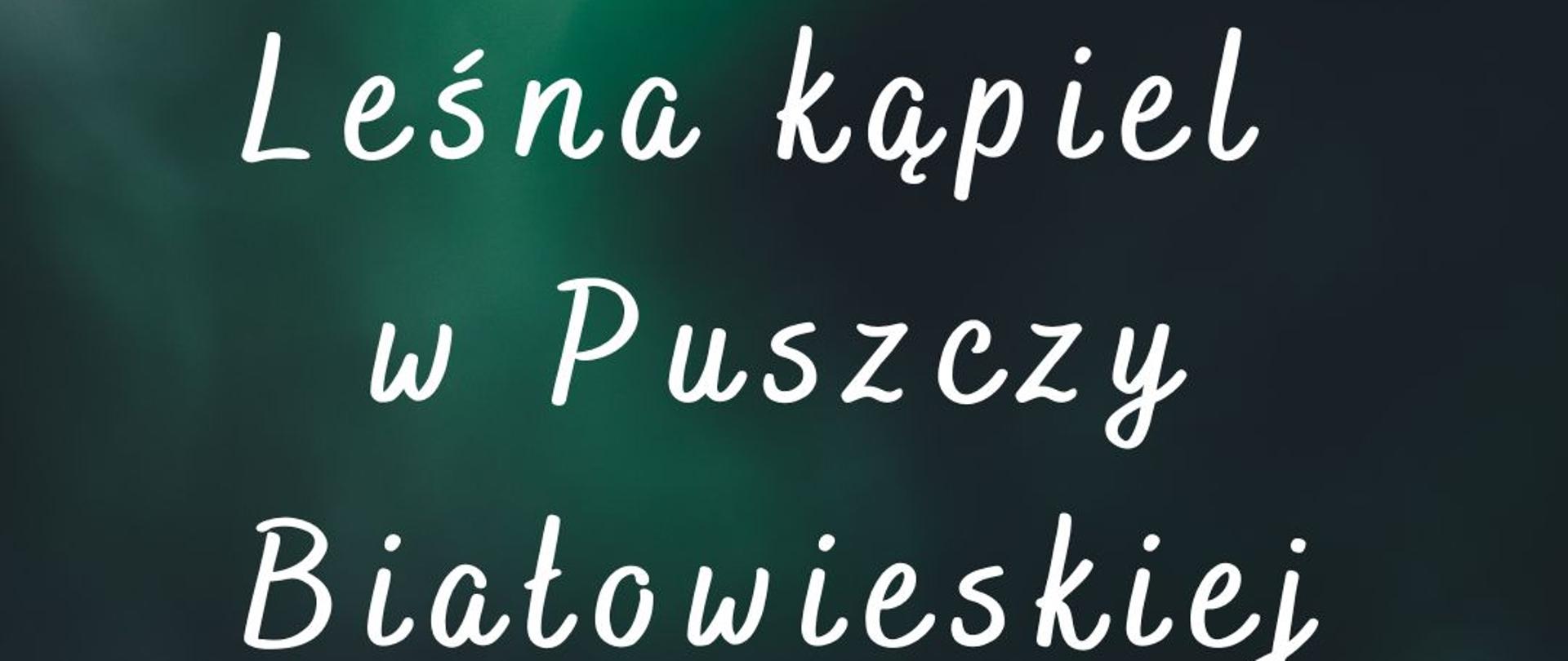 Leśna kąpiel w Puszczy Białowieskiej 17.09.2022, zapisy: LOT "Region Puszczy Białowieskiej", tel. 85 682 43 81, e-mail: biuro@lot.bialowieza.pl