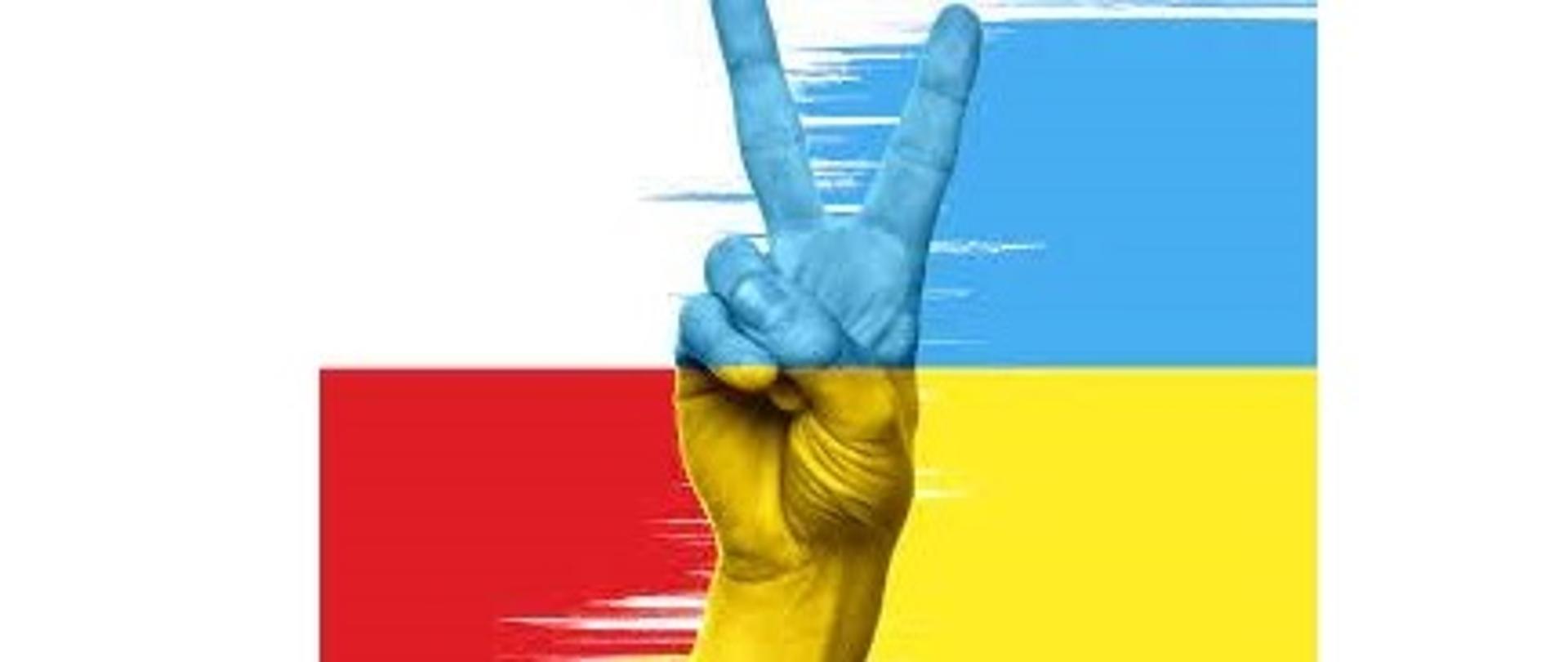 Ręka z dwoma palcami uniesionymi w kształt litery V. Po lewej stronie barwy biało czerwone, po prawej niebiesko żółte