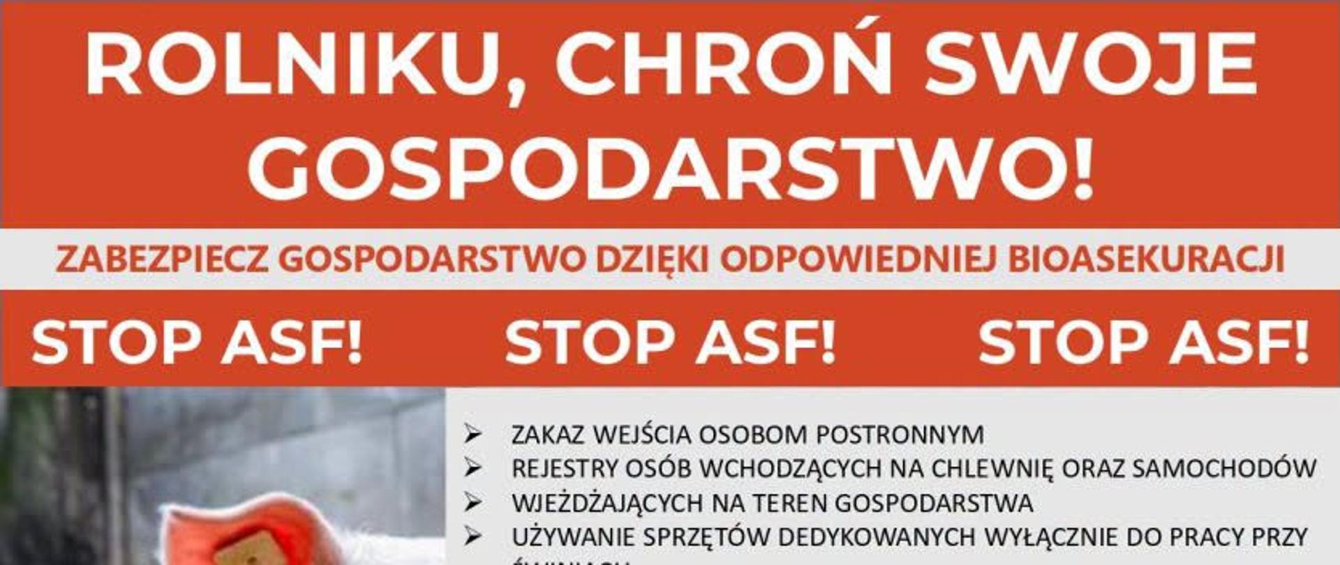 Plakat ostrzegający przed ASF i przedstawiający zasady bioasekuracji gospodarstwa. Po lewej zdjęcie świni, po prawej najważniejsze zalecenia dotyczące ochrony trzody chlewnej. Na dole logo Wojewódzkiego Inspektoratu Weterynarii w Krośnie.