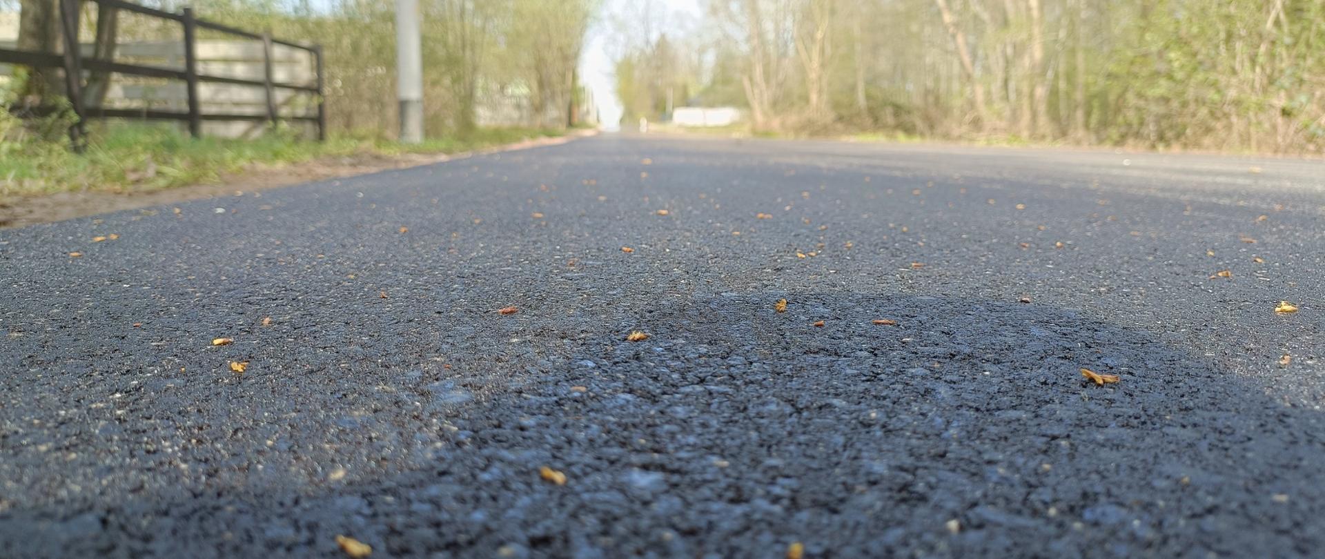 Na zdjęciu widoczna jest wiejska droga asfaltowa, uchwycona z perspektywy bardzo niskiej, blisko nawierzchni. Po obu stronach drogi znajdują się drzewa i ogrodzenie z drewnianych desek. W oddali widać słup energetyczny. Na nawierzchni drogi rozsypane są drobne elementy, prawdopodobnie liście lub inne naturalne zanieczyszczenia. Ujęcie podkreśla teksturę asfaltu i tworzy efekt perspektywy prowadzącej w głąb obrazu.