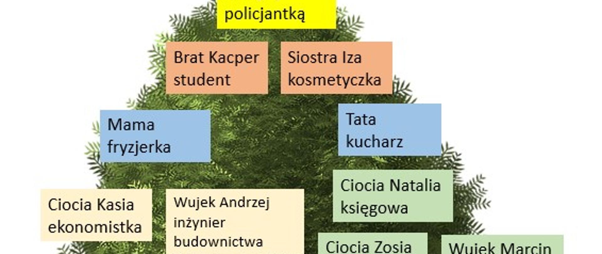 drzewo zawodów