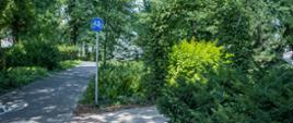 Park Bogny i Jerzego Sokorskich w Piastowie