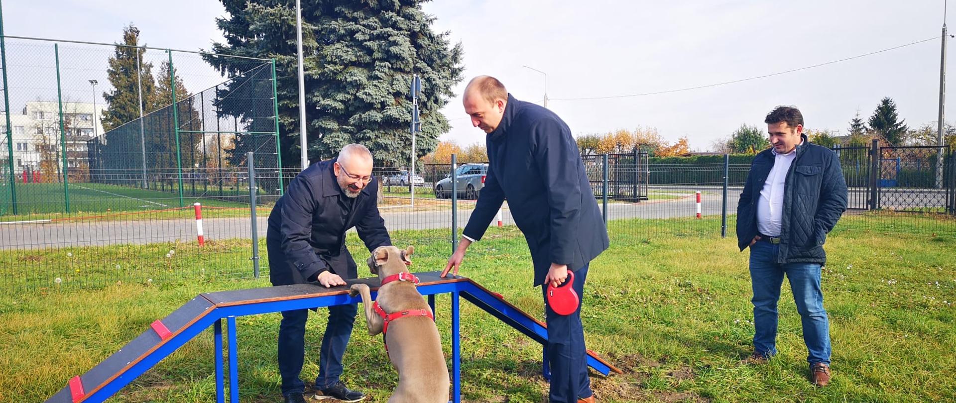 Pies wspina się na kładkę, Starosta Przasnyski Krzysztof Bieńkowski i Burmistrz Przasnysza Łukasz Chrostowski próbują naprowadzić psa na właściwy sposób. Wszystkiemu przygląda się Etatowy Członek Zarządu Powiatu Przasnyskiego Paweł Mostowy.