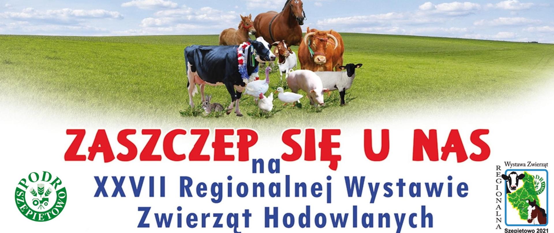 Zaszczep się u nas na XXVII Regionalnej Wystawie Zwierząt Hodowlanych w Szepietowie