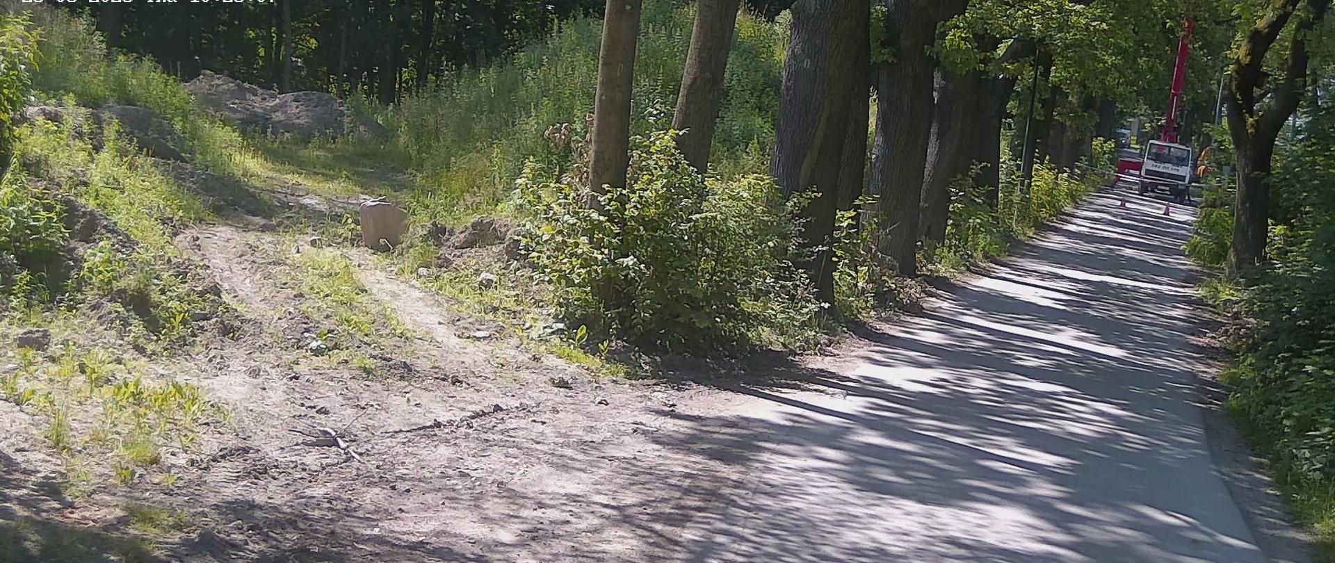 Droga przy której rosną stare drzewa