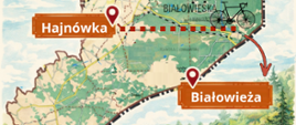Mapa poglądowa Powiatu Hajnowskiego przedstawiająca połączenie Hajnówka -Białowieża, u dołu mapy widać żubra stojącego obok cerkwi. 