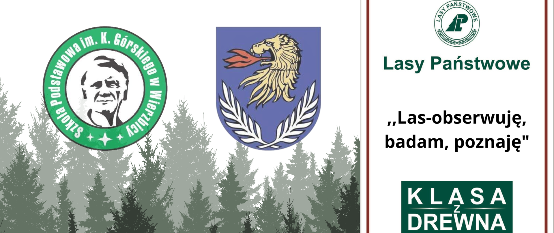 Festiwal Leśny podsumowujący projekt ,,Klasa z drewna”