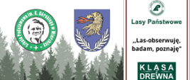 Festiwal Leśny podsumowujący projekt ,,Klasa z drewna”