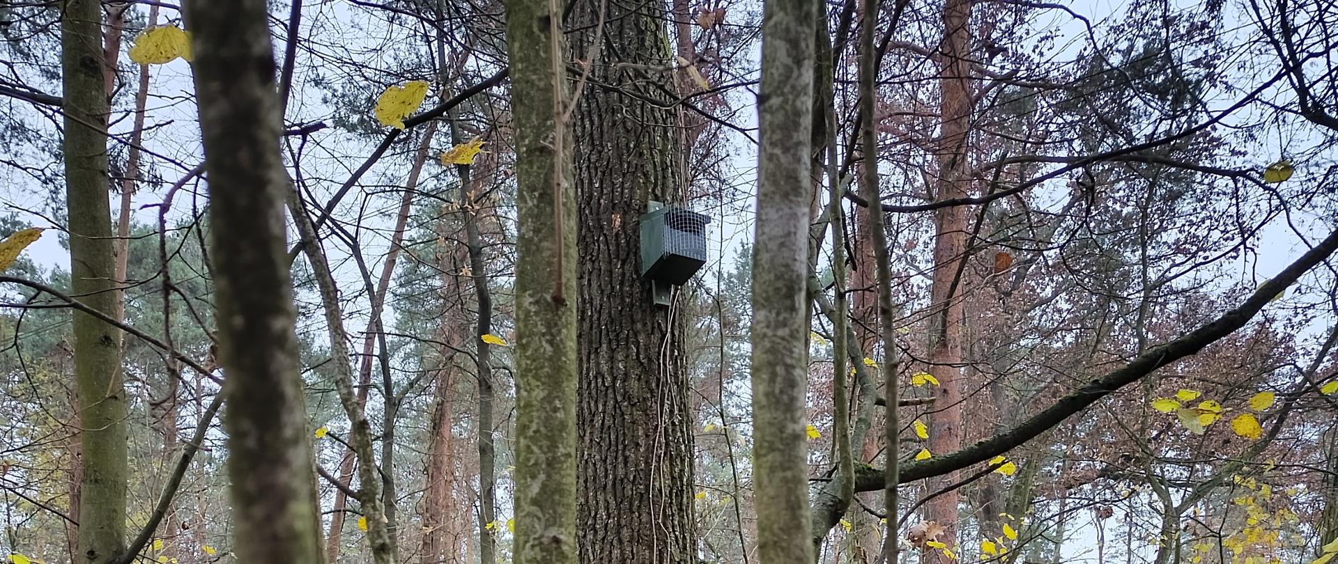 Powiat Ostrowiecki stawia na naturę!