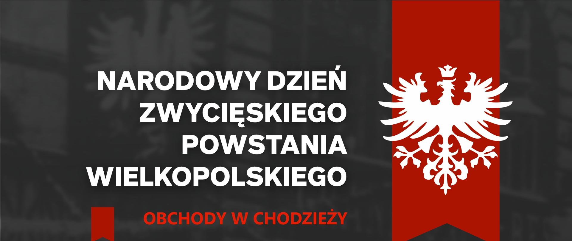 baner obchody powstania wielkopolskiego 