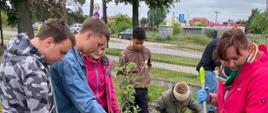 Prace porządkowe - uczniowie z nauczycielem sadzą drzewo