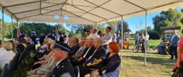 Złoty Jubileusz Zenona Bodysa