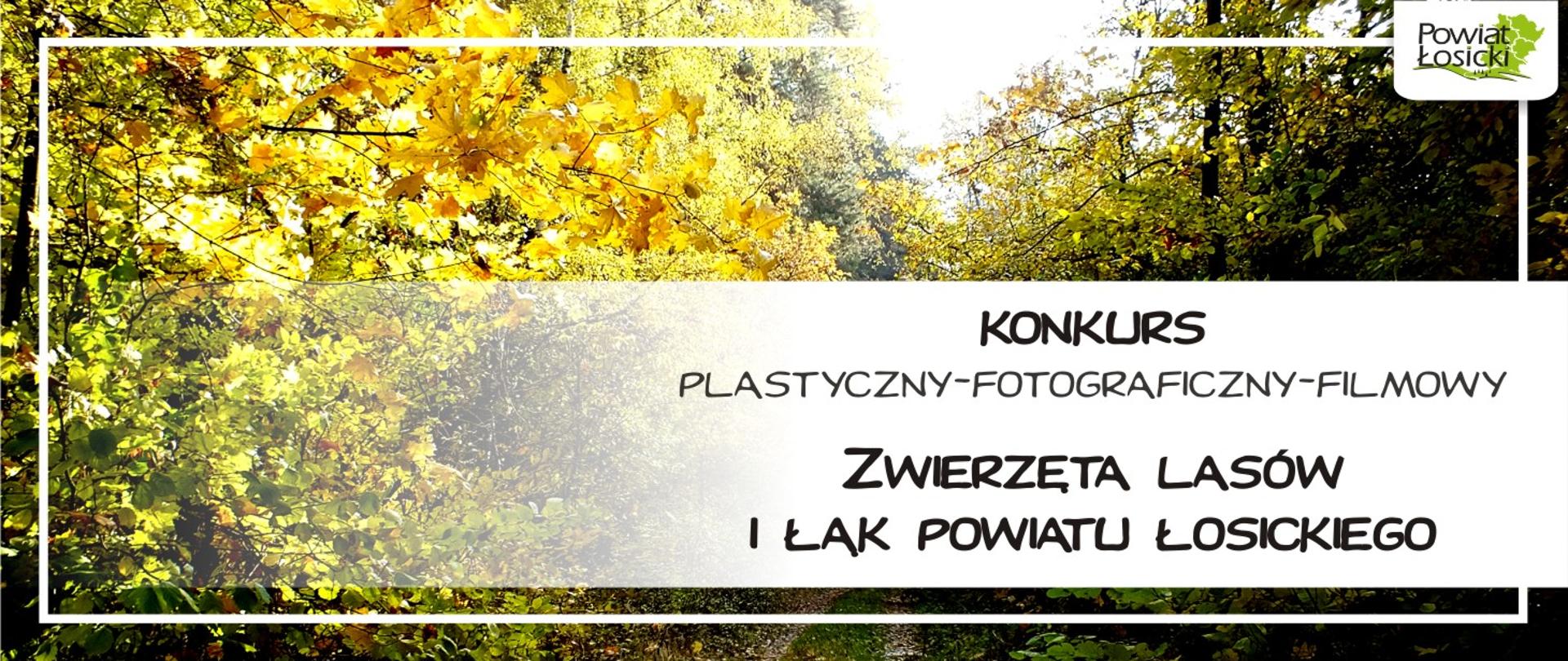 Plakat promujący konkurs pt. Zwierzęta lasów i łąk powiatu łosickiego 