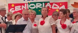 seniorzy podczas występów artystycznych