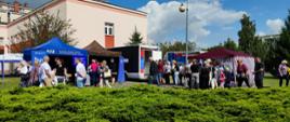 Festyn Profilaktyczno Zdrowotny w ogrodach przasnyskiego szpitala. Zdjęcie przedstawia licznych uczestników oraz stanowiska od lewej: Narodowego Funduszu Zdrowia, Dermatobus i Osteobus oraz Caritas.