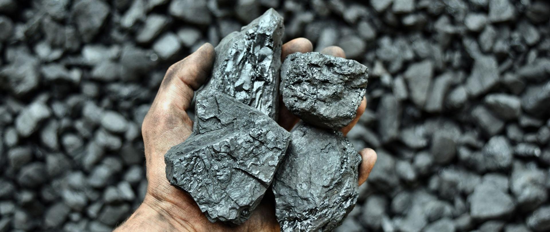Dłoń trzymająca bryły węgla na tle węgla