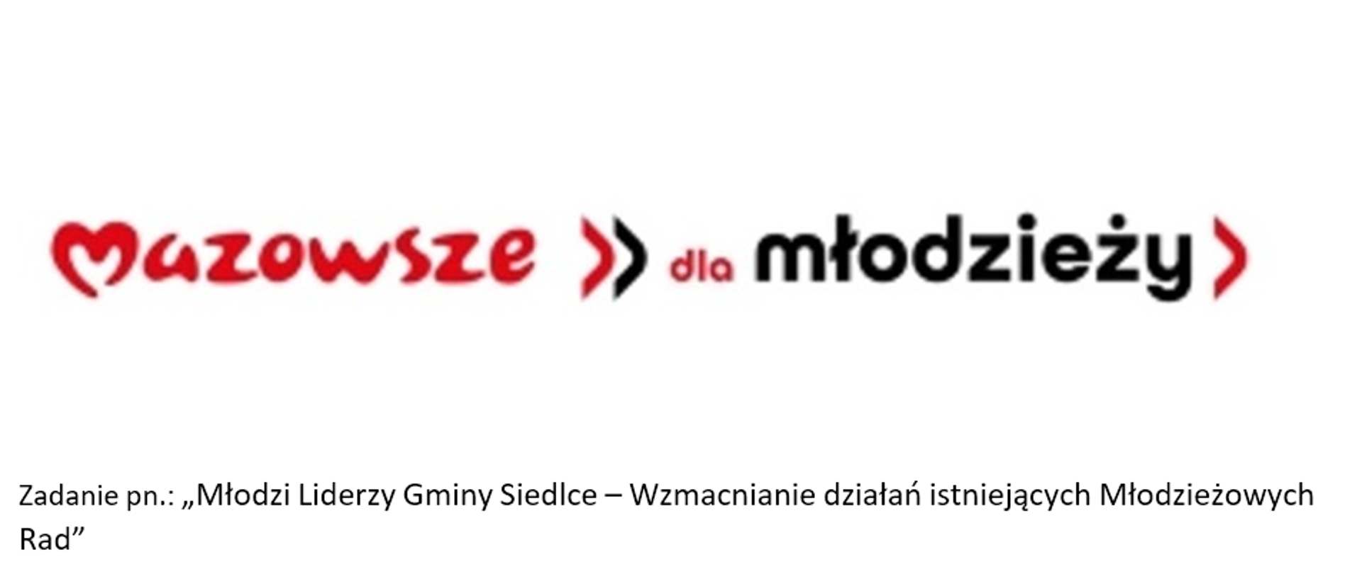 Młodzi Liderzy Gminy Siedlce – Wzmacnianie działań istniejących Młodzieżowych Rad