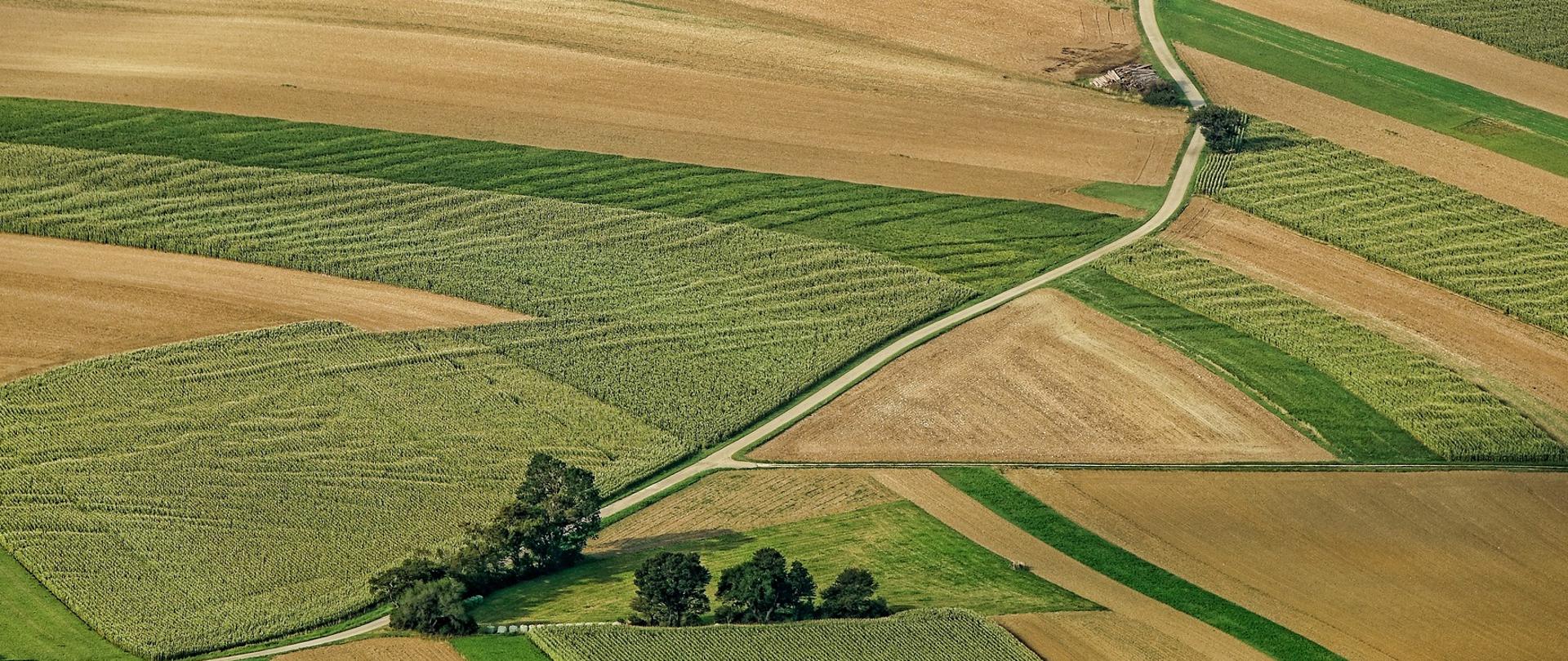 Fotografia zrobiona z lotu ptaka, na której widzimy z góry pola uprawne. Przez środek przebiega droga.